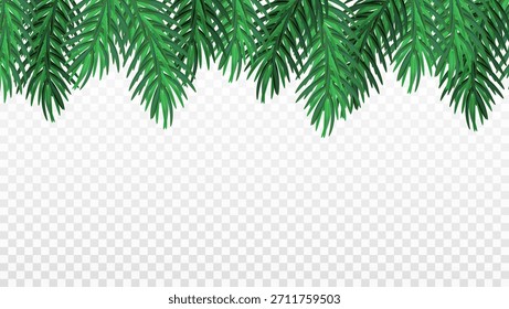 Christmas frame with pine branches on transparent background.