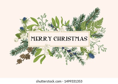 Christmas frame with winter plants. Botanical illustration. Composition with spruce, eucalyptus seeds, fern, juniper, mistletoe, larch cones, bluehead. Vector holiday card.