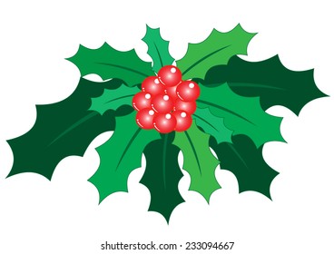 Christmas fruit