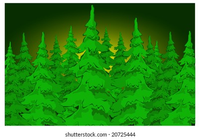 Christmas fur trees in the night forest. Winter vector illustration