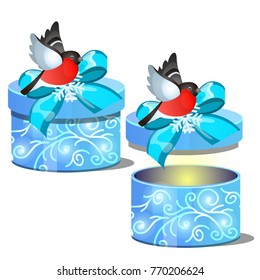 Christmas gift box with frozen patterns, bullfinch and blue ribbon bow isolated on white background. Sample of poster, party holiday invitation, festive banner, card. Vector cartoon close-up.