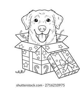 Libro para colorear de regalo de Navidad con un perro adorable. Las decoraciones de la caja de Navidades proporcionan pistas para los regalos de Navidad.
