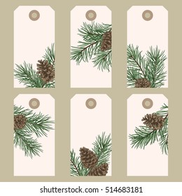 Christmas gift tags with pine branches and cones. Vector illustration in vintage style. 