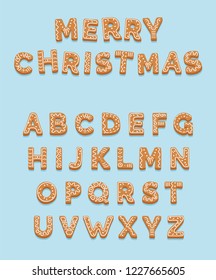 Christmas gingerbread cookies,  alphabet letters decorated with sugar and glazed. Merry Christmas and happy new year. Vector illustration template