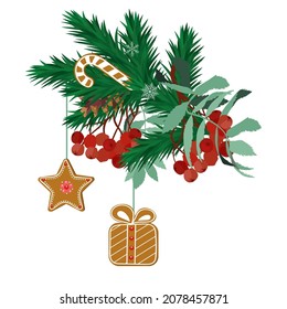 Christmas gingerbreads with spruce branches and rowan berries on a white isolated background. Vector Christmas illustration for postcard, poster, decoration for Christmas and winter design.