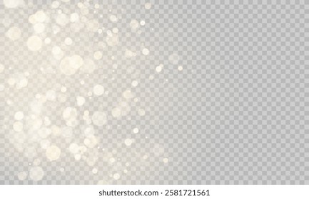 Christmas glowing bokeh confetti and sparkling texture overlays for your design. gold, glitter, confetti, christmas background, vector graphics.