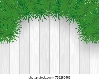 Christmas green pine branches