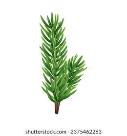 rama de árbol verde de Navidad 3D. Pino verde, planta verde. Elemento invernal para decoración, diseño de banner, tarjeta, afiche. Rama de árbol de Navidad aislada en blanco. Ilustración vectorial.