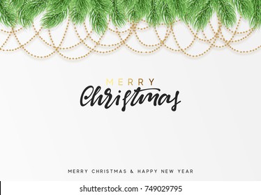 Christmas  green tree branch. Background Xmas decoration.