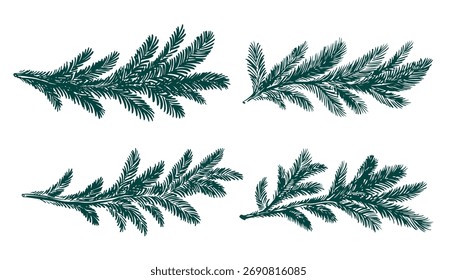 Christmas green tree branch set, hand drawn	
