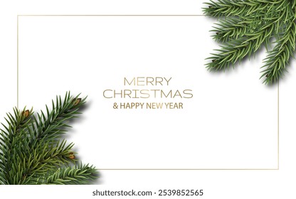 Christmas greeting banner on white background with spruce branches. Vector