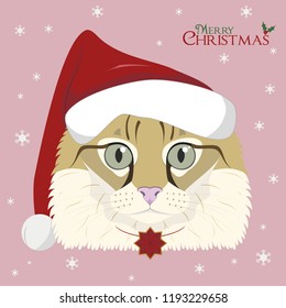 Christmas greeting card. American curl cat with red Santa's hat and a Christmas ornament