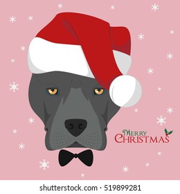 Christmas greeting card. American Staffordshire Terrier dog with red Santa's hat