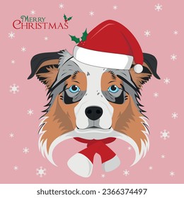 Christmas greeting card. Australian Sheperd dog with red Santa´s hat and a woolen scarf for winter 