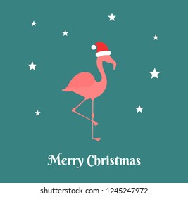 Christmas greeting card background with flamingo. Vector illustration.