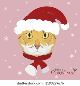 Christmas greeting card. Bengal cat wearing a scarf and a red Santa's hat