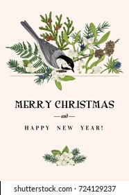 Christmas greeting card with a bird and winter plants. Fern, spruce, mistletoe, larch, thuja and titmouse. Botanical illustration. Vector. Colorful.