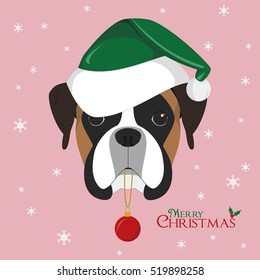 Christmas greeting card. Boxer dog with green Santa's hat and Christmas toy ball