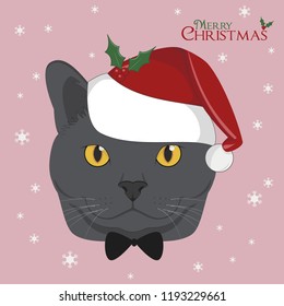 Christmas greeting card. Chartreux cat with red Santa's hat