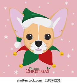 Christmas greeting card. Chihuahua dog with green Santa's hat