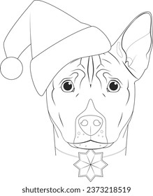 Christmas greeting card for coloring. Basenji dog with Santa's hat and a Christmas ornament