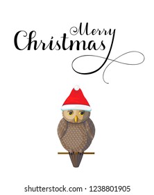 Christmas Greeting card with cute brown owl wear red hat on white background. Lettering calligraphic hand written text Merry Christmas.