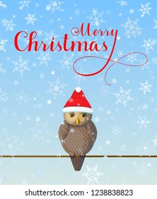 Christmas Greeting card with cute brown owl wear red hat on blue background with snowflakes. Lettering calligraphic hand written text Merry Christmas.