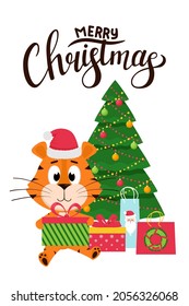 Christmas greeting card with a cute cartoon tiger in a Santa hat holding a gift box on the background of Christmas tree. Hand lettering Merry Christmas. Color vector illustration on white background