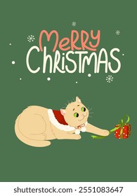 Christmas greeting card. Cute funny cat character playing with Christmas present. Merry Christmas handwritten lettering. Vector illustration design template for Happy New Year celebrations