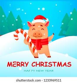 Christmas greeting card. Cute pig wearing Santa Claus hat and scarf holds candy cane. Funny cartoon character. Vector illustration.