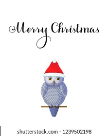 Christmas Greeting card with cute silver grey owl wear red hat on white background. Lettering calligraphic hand written text Merry Christmas.