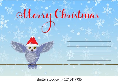 Christmas Greeting card with cute silver owl wear red hat on blue background with snowflakes. Lettering calligraphic hand written text Merry Christmas.