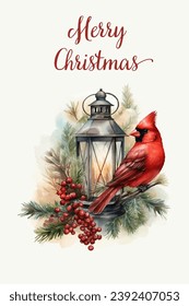 Christmas greeting card design. Watercolour winter red bird with lantern and pine branches