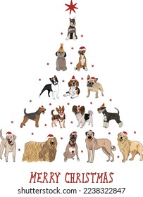 Christmas greeting card with dogs, holiday design. Funny cartoon different dog breeds illustrations. Dog pets in Santa hats. New Year card. Mini Schnauzer, Boxer, Golden, Beagle, Kangal, Bulldog.