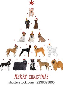 Christmas greeting card with dogs, holiday design. Funny cartoon different dog breeds illustrations. Dog pets in Santa hats. New Year card. Boxer, Chow Chow, Shiba Inu, Poodle, Dachshund, Puli, Husky.