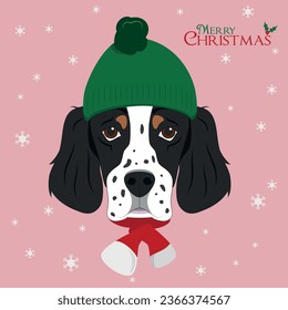 Christmas greeting card. English Setter dog wearing a green woolen cap and a red woolen scarf for winter