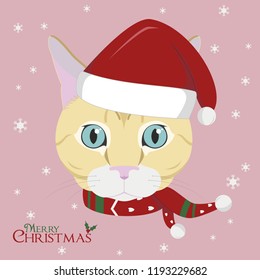 Christmas greeting card. European Shorthair cat wearing a scarf and a red Santa's hat