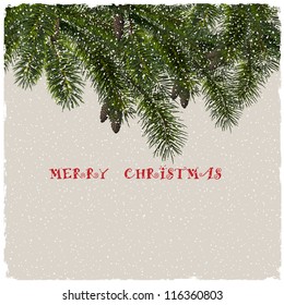 Christmas greeting card with fir branches. Vector eps10