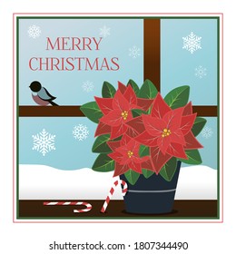 Christmas greeting card in flat style. Vivid illustration with striped candy canes and a poinsettia plant. A window with a view of a frosty holiday morning with beautiful snowflakes and bullfinches