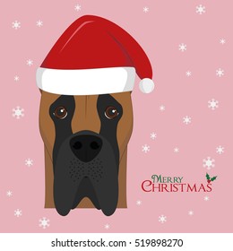 Christmas greeting card. Great Dane dog with red Santa's hat