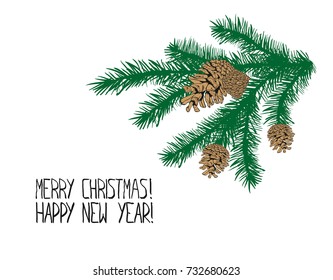 Christmas greeting card with a green spruce branch with two brown cones.