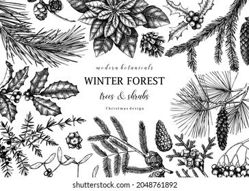 Christmas greeting card or invitation design. Vector frame with hand drawn conifer and winter plants sketches. Vintage background with pine, spruce, cypress, fir, larch and juniper illustration.