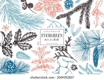 Christmas greeting card or invitation design. Vector frame with hand drawn conifer and winter plants sketches. Vintage background with pine, spruce, cypress, fir, larch and juniper illustration.