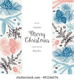 Christmas greeting card or invitation design. Vector frame with hand drawn conifers sketch. Vintage background with pine, spruce, cedar, cypress, fir, larch and juniper illustration