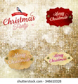 Christmas greeting card light and snowflakes background. Merry Christmas holidays wish design and vintage ornament decoration. Happy new year message. EPS 10 vector file included