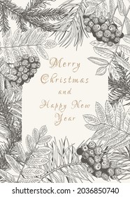 Christmas greeting card with mountain ash, pine and fir branches. Rectangular frame with winter plants. Vector illustration. Botanical  background. Black and White.