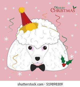 Christmas greeting card. Poodle dog wearing a party hat