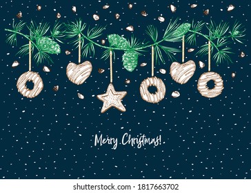Christmas greeting card Realistic Botanical ink sketch of colorful fir tree garland with pine cone and xmas gingerbread cookies For design flayer, menu, holiday web banner Vector illustrations