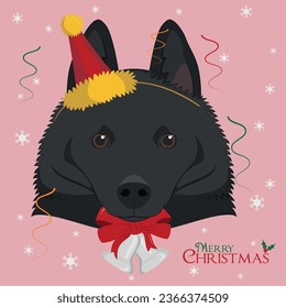 Christmas greeting card. Schipperke dog wearing a party hat