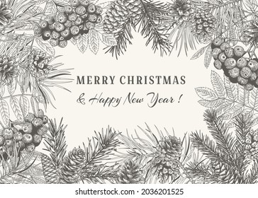 Christmas greeting card with spruce and pine and rowan. Vector botanical illustration. Background with coniferous branches, cones and berry. Rectangular frame. Black and White ornament.
